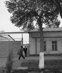 מכתב בריחה בתחילת המלחמה מאת טומקביץ, קגן, אוזבקיסטן - תערוכת המכתבים במשואה