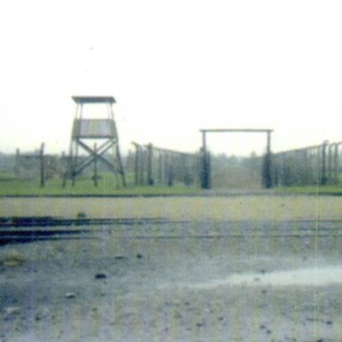 תמונה מצמררת מהשואה - מחנה ריכוז והשמדה